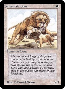 Savannah Lions - Limited Edition Alpha