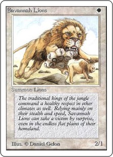 Savannah Lions - Unlimited Edition