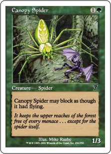 Canopy Spider - Seventh Edition
