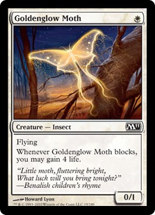 Goldenglow Moth - Magic 2011