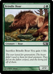 Brindle Boar - Magic 2011