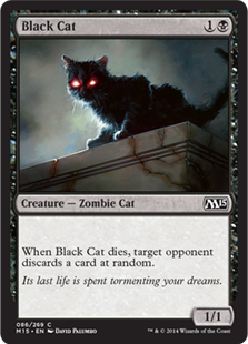 Black Cat - Magic 2015