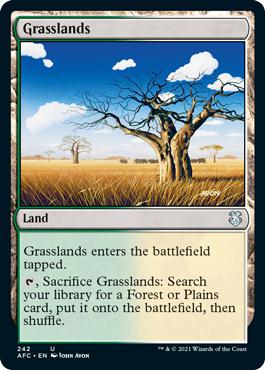 Grasslands - Adventures in the Forgotten Realms Commander