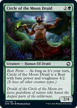 Circle of the Moon Druid - Adventures in the Forgotten Realms