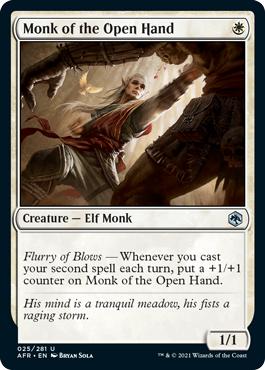 Monk of the Open Hand - Adventures in the Forgotten Realms