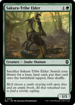 Sakura-Tribe Elder - Bloomburrow Commander