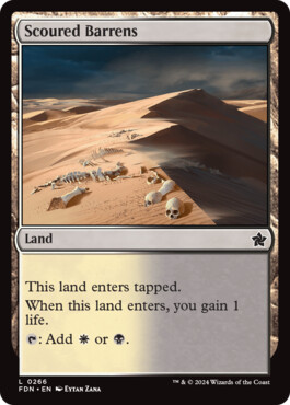 Scoured Barrens - Magic: The Gathering Foundations