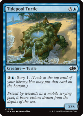 Tidepool Turtle - Foundations Jumpstart