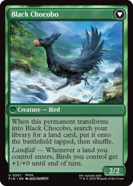 Black Chocobo - Final Fantasy