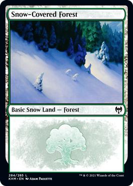 Snow-Covered Forest - Kaldheim