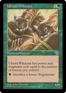 Uktabi Wildcats - Mirage