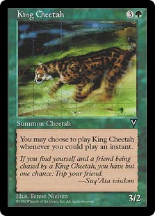 King Cheetah - Visions
