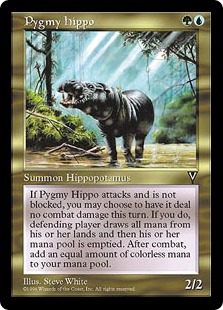 Pygmy Hippo - Visions