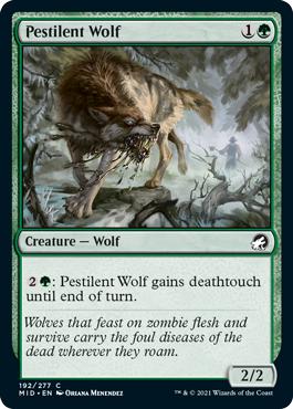 Pestilent Wolf - Innistrad: Midnight Hunt