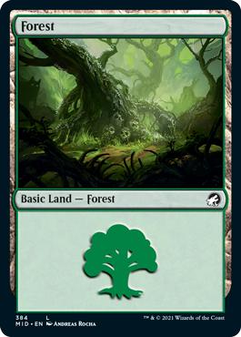 Forest - Innistrad: Midnight Hunt