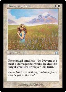 Flowering Field - Prophecy