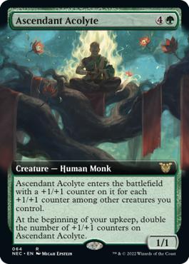 Ascendant Acolyte - Kamigawa: Neon Dynasty Commander