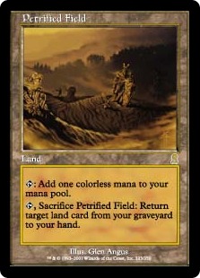 Petrified Field - Odyssey