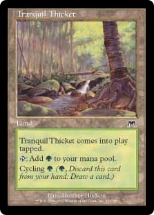 Tranquil Thicket - Onslaught