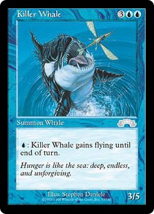 Killer Whale - Exodus