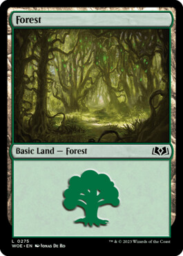 Forest - Wilds of Eldraine