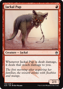 Jackal Pup - Masters 25