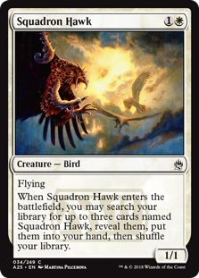 Squadron Hawk - Masters 25