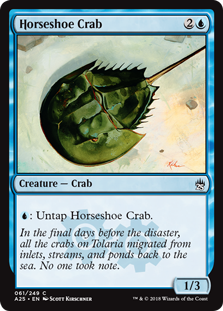 Horseshoe Crab - Masters 25