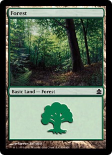Forest - Magic: The Gathering-Commander