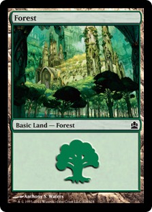 Forest - Magic: The Gathering-Commander
