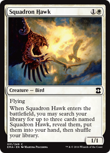 Squadron Hawk - Eternal Masters