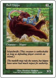 Hippopotame mâle - 7ième Edition