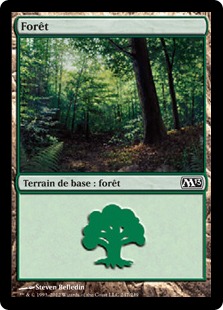 Forêt - Magic 2013