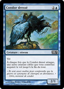 Condor dressé - Magic 2014