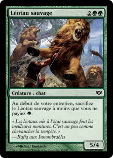Léotau sauvage - Conflux