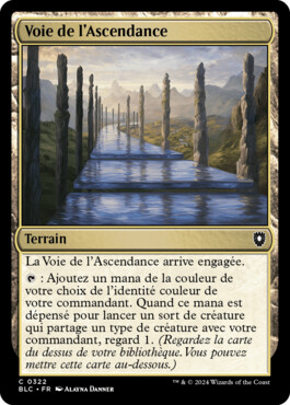 Voie de l'Ascendance - Bloomburrow Commander