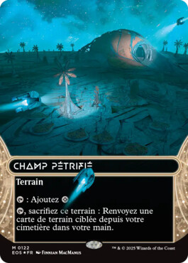 Champ pétrifié - Aux portes des Eternités Paysages stellaires