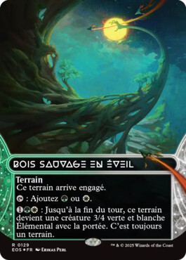 Bois sauvage en éveil - Aux portes des Eternités Paysages stellaires