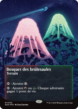 Bosquet des brûlesaules - Aux portes des Eternités Paysages stellaires