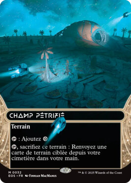 Champ pétrifié - Aux portes des Eternités Paysages stellaires