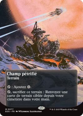 Champ pétrifié - Aux portes des Eternités Paysages stellaires