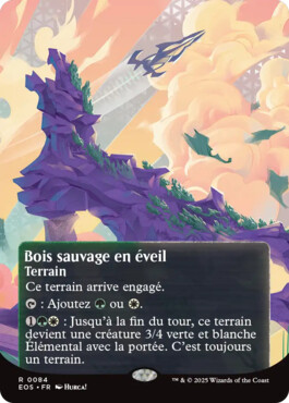 Bois sauvage en éveil - Aux portes des Eternités Paysages stellaires