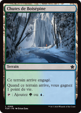 Chutes de Boisépine - Fondations de Magic: The Gathering