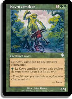 Kavru caméléon - Invasion