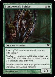 Araignée de Somberwald - Innistrad