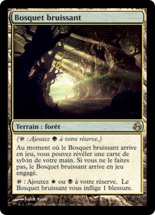 Bosquet bruissant - Lèveciel