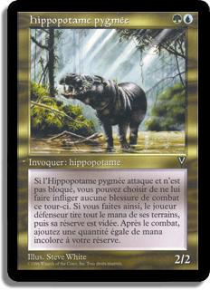 Hippopotame pygmée - Visions
