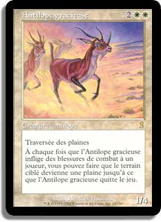 Antilope gracieuse - Odyssée