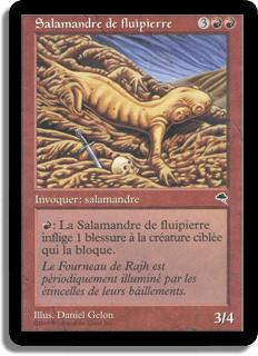 Salamandre de fluipierre - Tempête