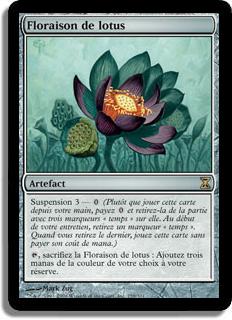 Floraison de lotus - Spirale Temporelle